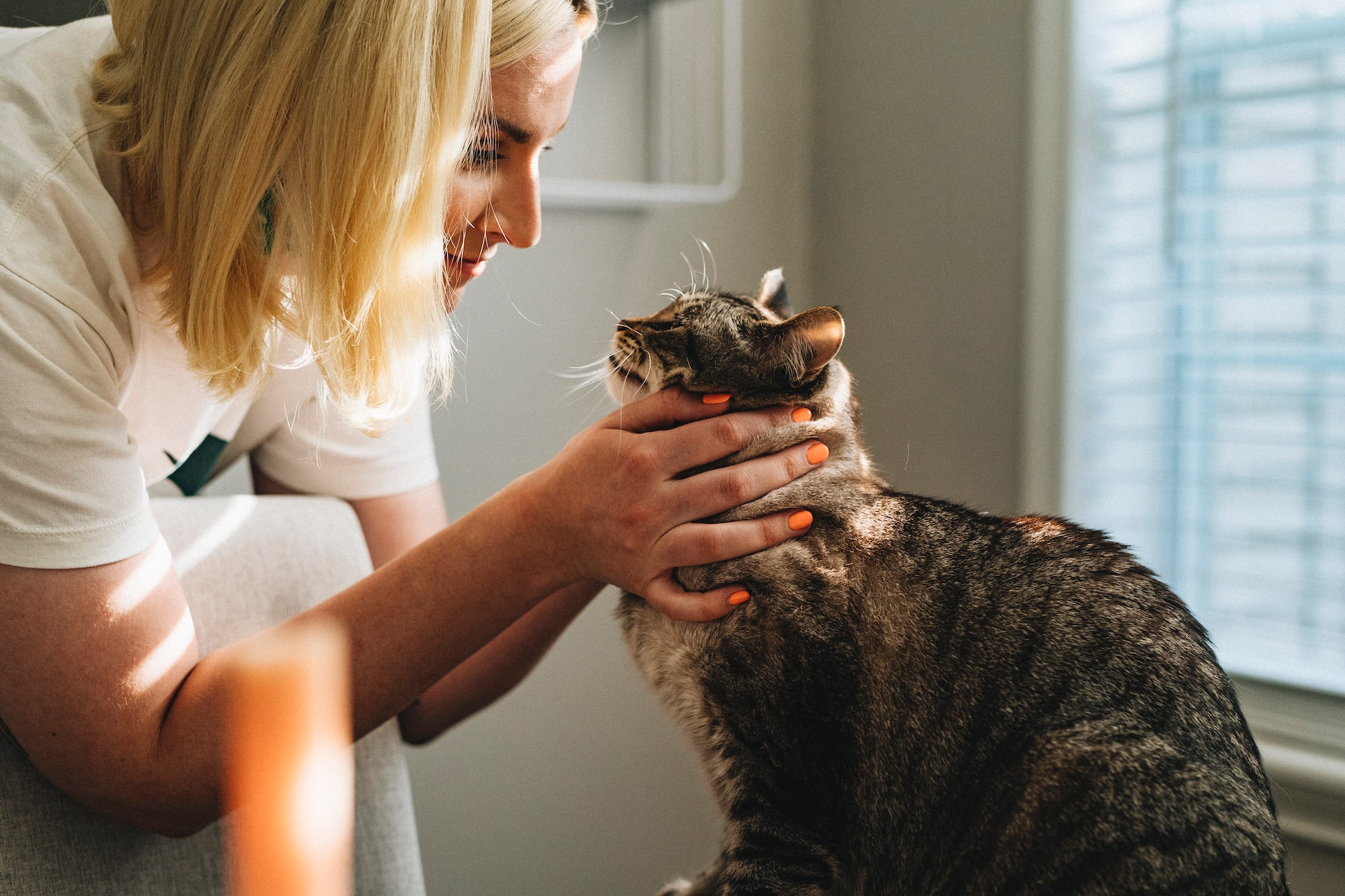 Tips for Maintaining Work-Life Balance as a Veterinarian
