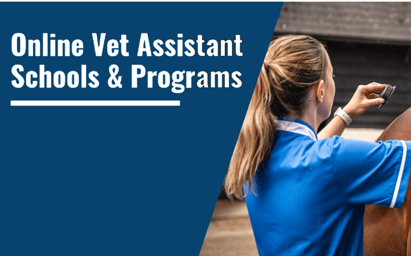 What is the Importance of Online Courses for Veterinary Professionals?